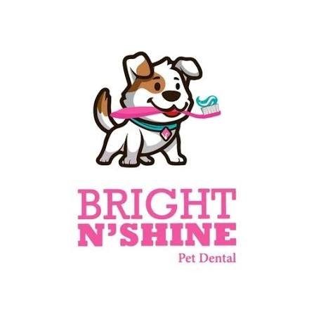 Bright N'Shine Pet Dental